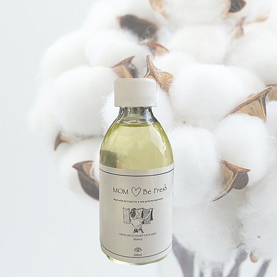  ������ - ���� ������ ����� 100% ����� 200 ���